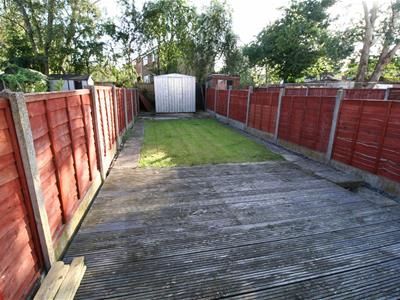 Picture 8